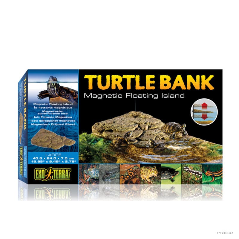 Turtle Bank Large