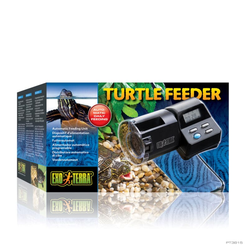 Turtle Feeder