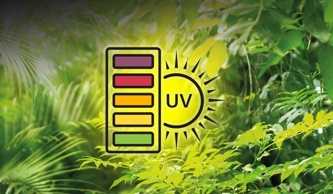 What is UV-B?
