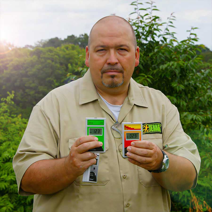 Chuckwalla (Sauromalus ater)