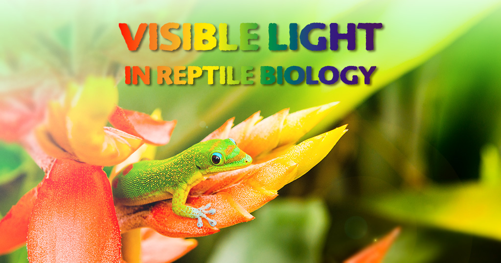 The Role of Visible Light in Reptile Biology