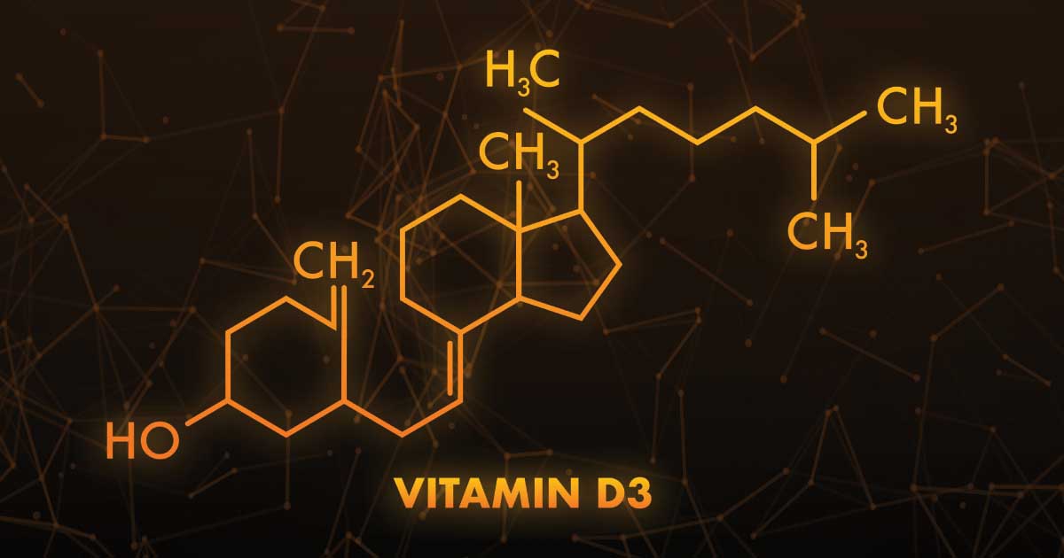 Vitamin D3 and Reptiles A Vital Connection Exo Terra